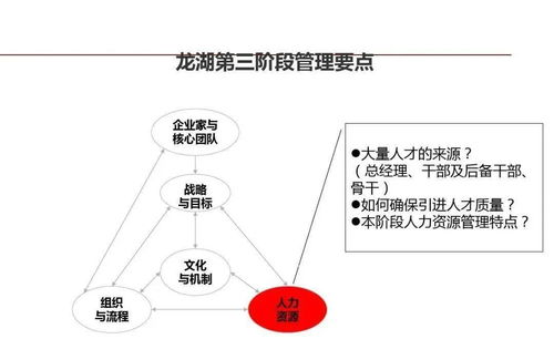龍湖企業(yè)管理與運(yùn)營精細(xì)化管理之道