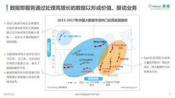 中國(guó)數(shù)據(jù)即服務(wù)（DaaS）市場(chǎng)專題分析 數(shù)據(jù)處理服務(wù)的機(jī)遇、挑戰(zhàn)與未來(lái)